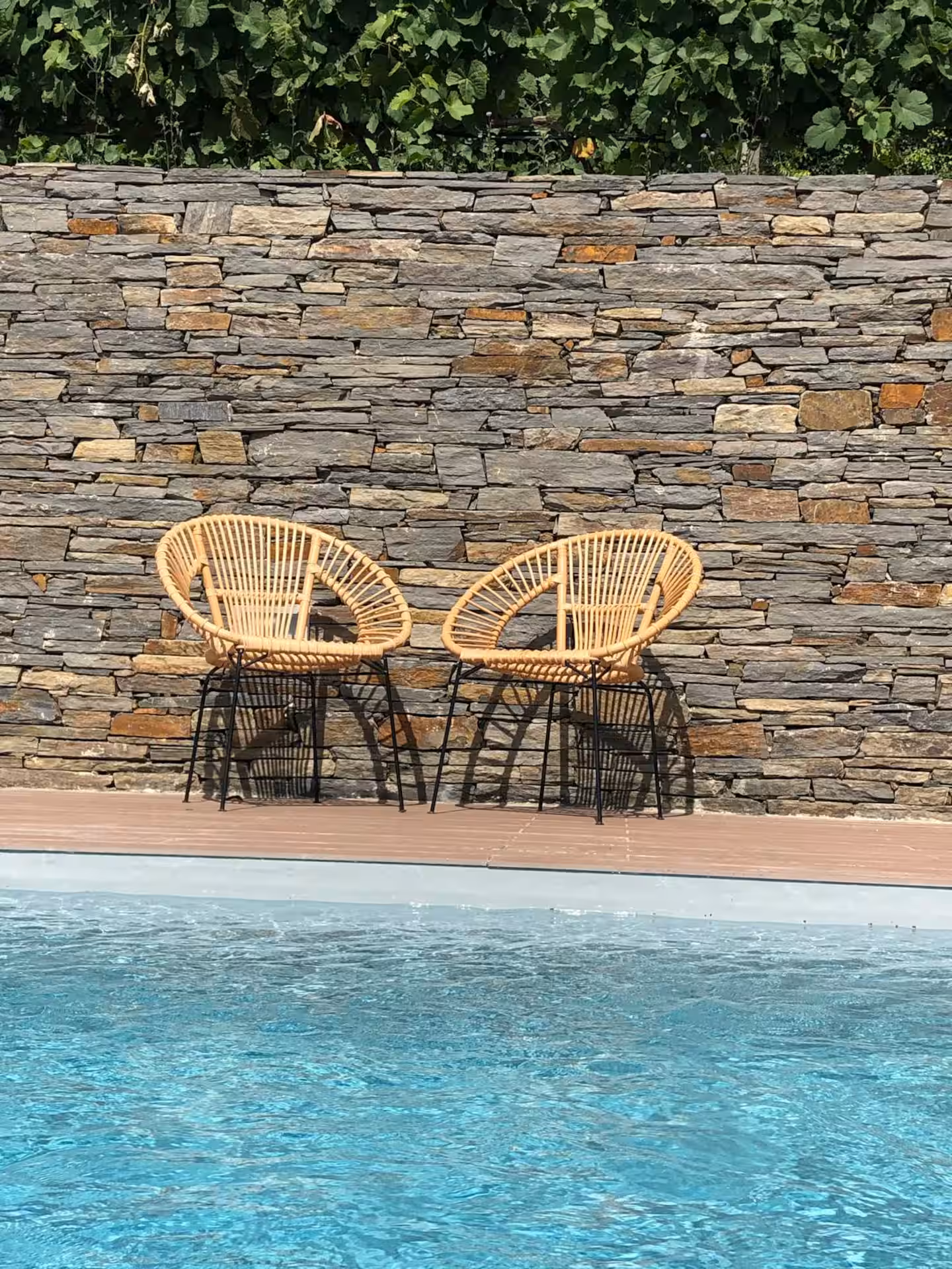 bad60c95-3790-421b-bcd9-a79d783b23eb